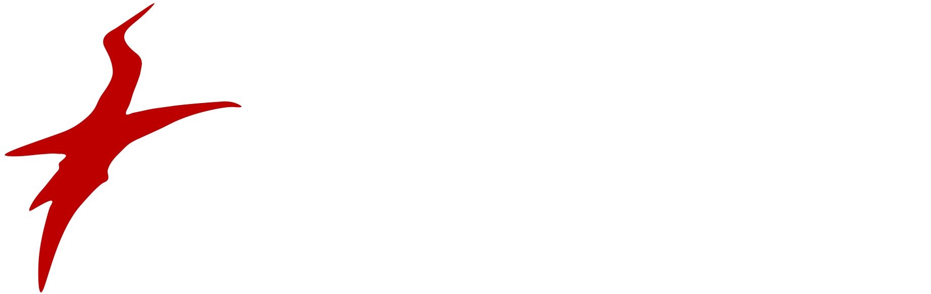 Logo La Bruja Store